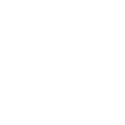 Geotecnico